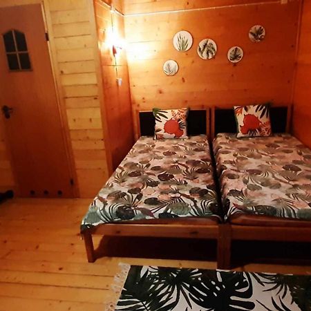 Chatki Sypialne Traperki Villa Polańczyk Екстериор снимка